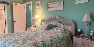 Bring your dog!  2 bedroom, 2 bath, Single family home in South Venice Gallery 24