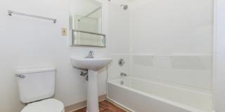 The Palisades Gallery 8