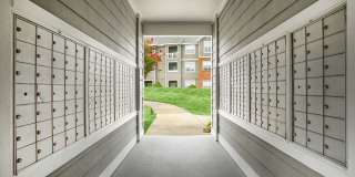 Seasons at Umstead Gallery 28