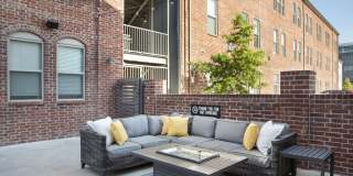 Thrive Argenta Gallery 37