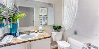 Lexington Palms at the Forum Gallery 19