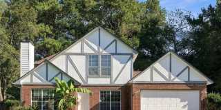 10870 Willow Meadow Circle 10870 Willow Meadow Circle Gallery 1