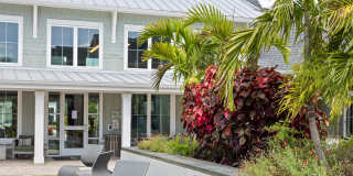 Palm Grove Gallery 25