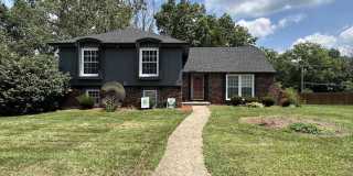 11719 Wyandotte Street Gallery 1