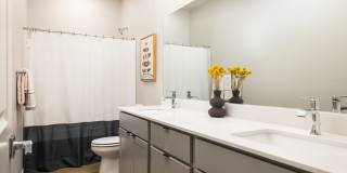 VellaTerra Gallery 19