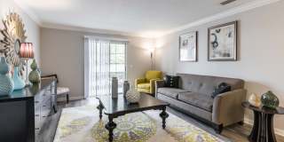 Ocean Oaks Gallery 32