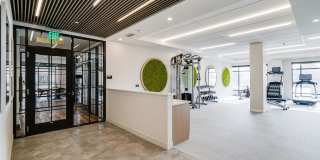 Nolan Mains Gallery 14