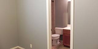6739 TERRA RYE Gallery 20