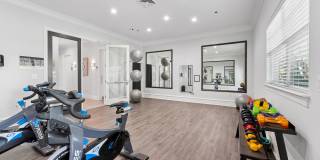 The Ashborough Gallery 6