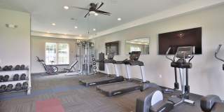 Element Oakwood Gallery 16