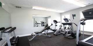 Spacious One Bedroom Apartment with W/D Connection! Gallery 43