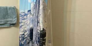 Large 4 bed in Allston Gallery 14