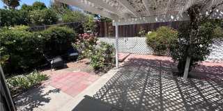 635 Flaming Star Gallery 12