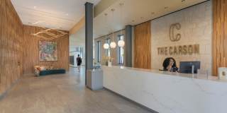 The Carson Gallery 45