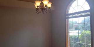 Ozark- Look at this beauty! Gallery 7