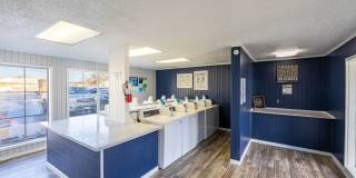 Alena Apartments Gallery 23