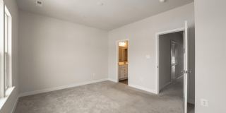 6404 WILD PLUM Drive Gallery 9