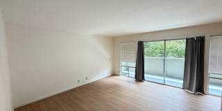 1 bed 1 bath condo in Orinda Gallery 1