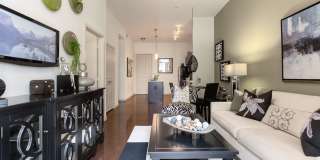 DeSoto Town Center Gallery 4