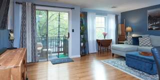 3205 Halcyon Dr # 3205 Gallery 7