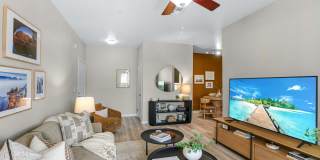 TGM Ocotillo Bay Gallery 9