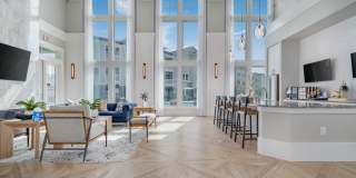 Ariza Corpus South Gallery 8