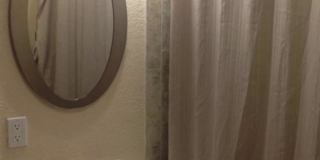 2810 Geoffrey Drive Gallery 13