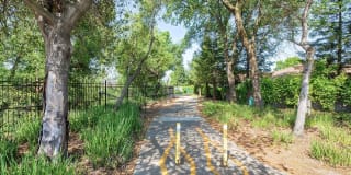 Allegria at Roseville Gallery 15