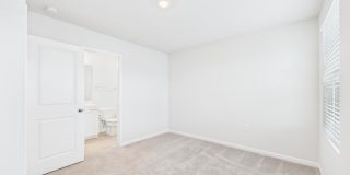 2709 Chert Lane Gallery 43