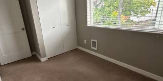 Montlake Villas Gallery 22