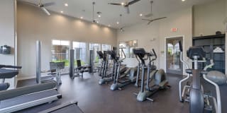 Montelago Gallery 41