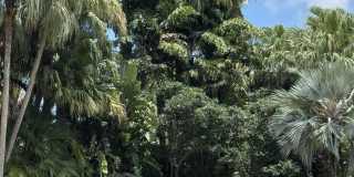 147 Deer Creek Boulevard Gallery 63