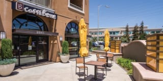 The Verdant The Verdant Gallery 21