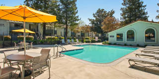 Verde Verde Gallery 2