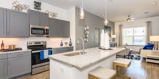 Jewel on Landmark Gallery 22