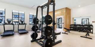 The Amber Gallery 30