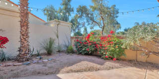 10566 N 87TH Place Gallery 24
