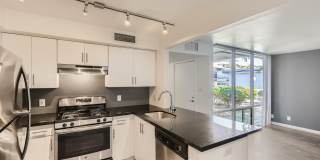 Rise Biltmore Gallery 47