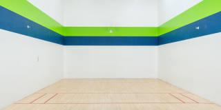 Raven Gallery 11