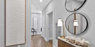 RISE Doro Gallery 49