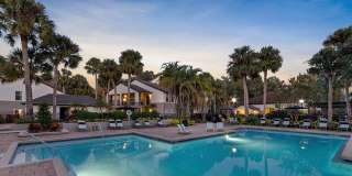 Sabal Palm at Lake Buena Vista Gallery 28