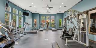 Tiburon Gallery 17
