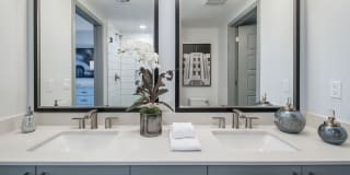 Novo Las Olas Gallery 56