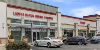 Laurel Terrace Apartment Homes Gallery 18