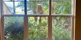 Tropical oasis Gallery 14