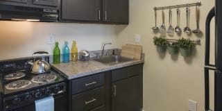 Cameron Cove Gallery 4