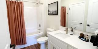 Arris Duluth Gallery 3