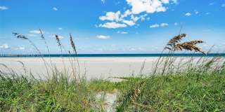 355 E Ocean Dr Gallery 24