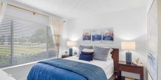 Boca Arbor Club Gallery 25