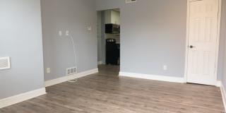 H St/Kingman Park - Renovated 1 bedroom Gallery 8